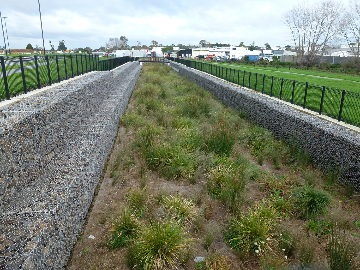Erosion Control