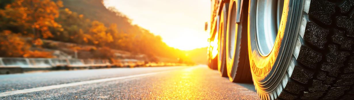 geofabrics-triaxial-geogrid-header image