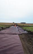 building-access-roads-on-mt-gellibrand-windfarm-case-study-aug23-img2