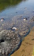 aquarockbag-river-derwent