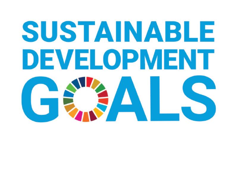 UN-Sustainability logo