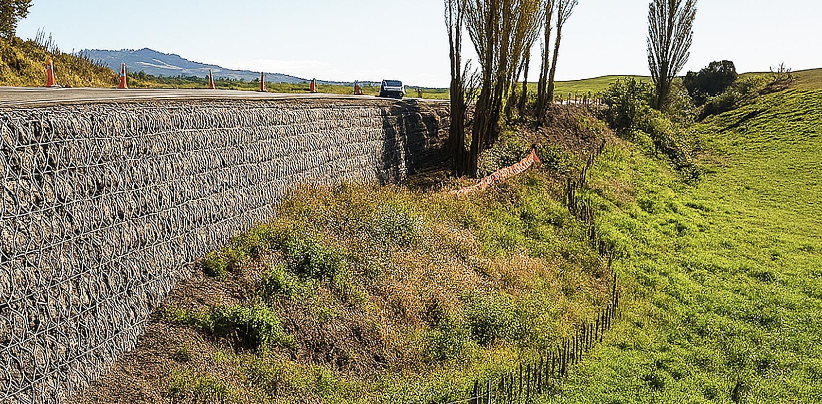 geofabrics-geomesh-natural