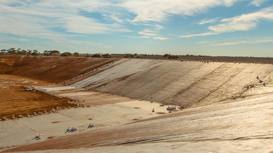 Mine rehab-campaign-Header image-1230X350px